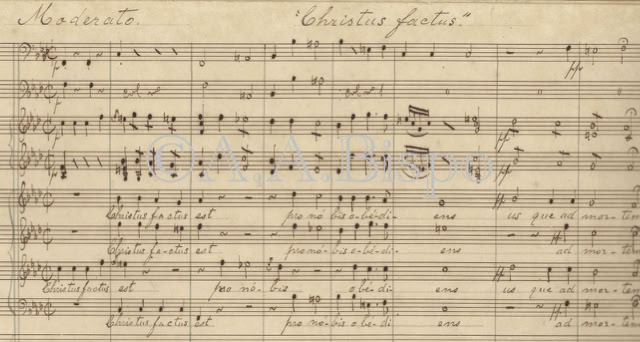 Christus factus da Semana Santa de Theodoro Cyro de Souza da Sé da Bahia. Arquivo A.A.Bispo